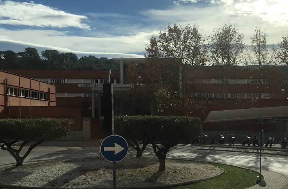 Integració Social a Josep Segrelles (Josep Segrelles, Albaida): foto 1