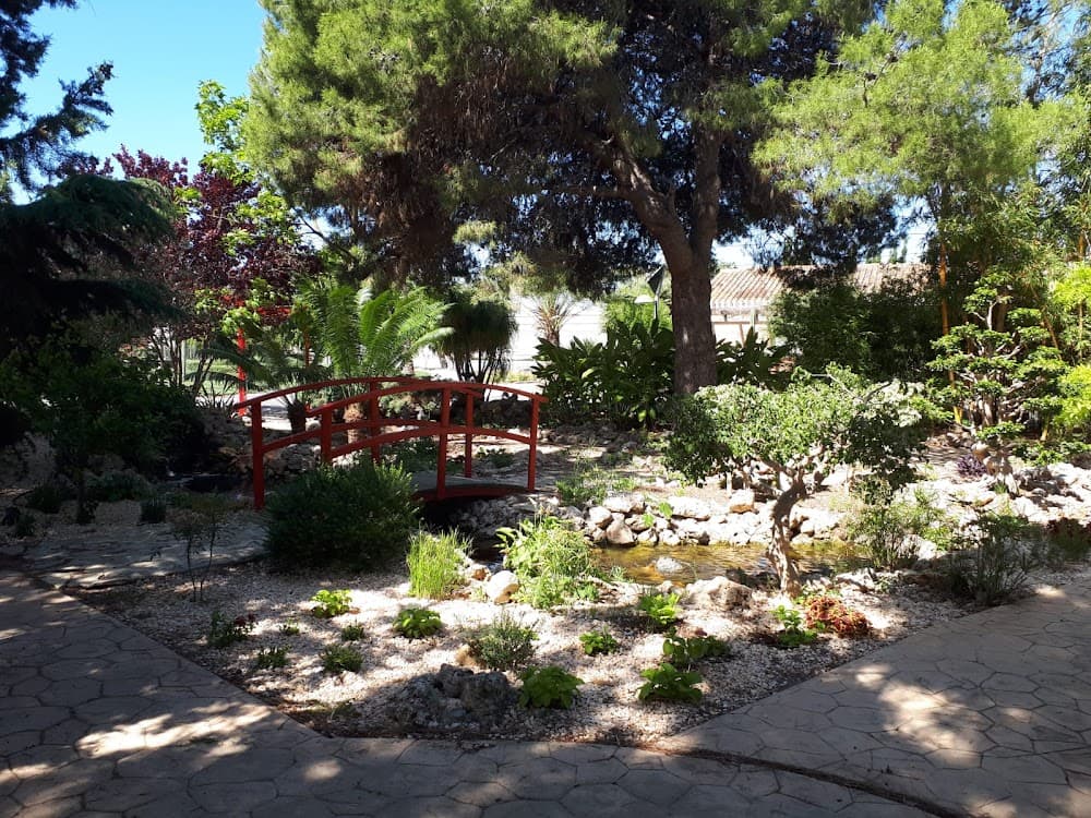 Jardineria I Floristeria a Cifea De Torre Pacheco (Cifea De Torre Pacheco, Torre-pacheco): foto 3