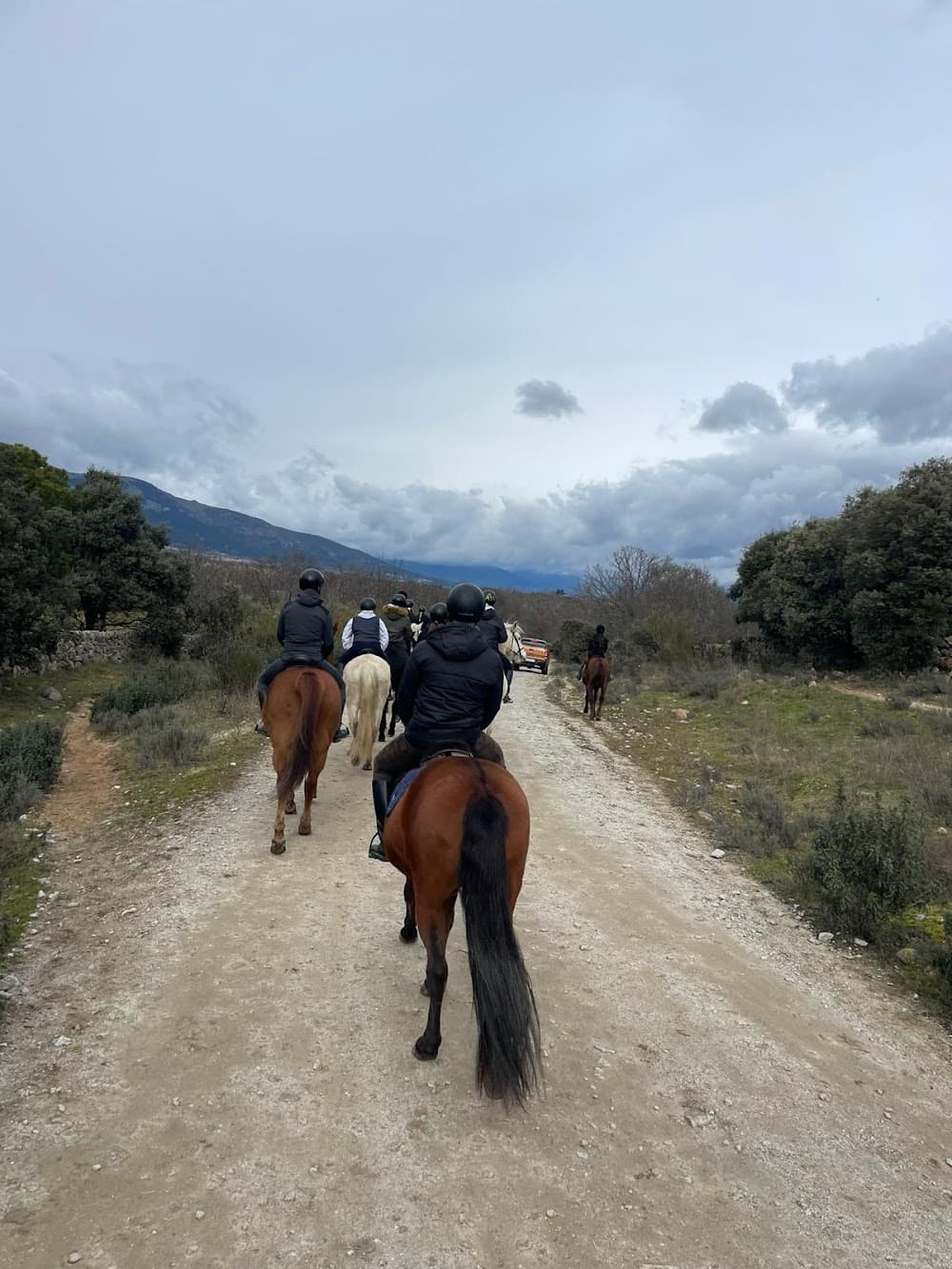 Foto secundaria del campus Centro De Estudios Profesionales Ii Cve-boadilla