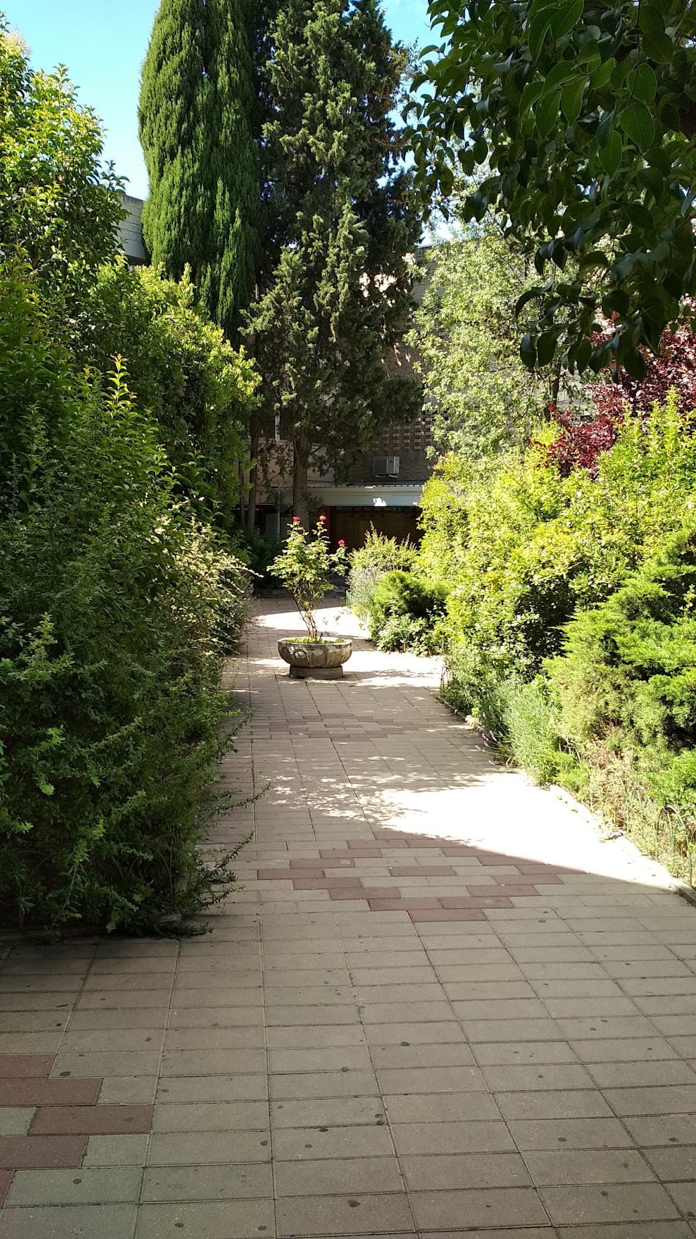 Foto secundaria del campus Parque Aluche