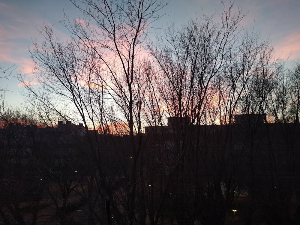 Foto secundaria del campus Amparo Sanz