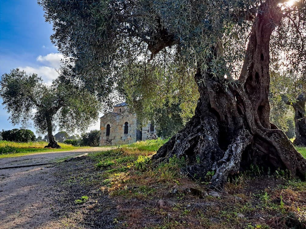 Atenció A Persones En Situació De Dependència a Santa Lucia Del Trampal (Santa Lucia Del Trampal, Alcuéscar): foto 4