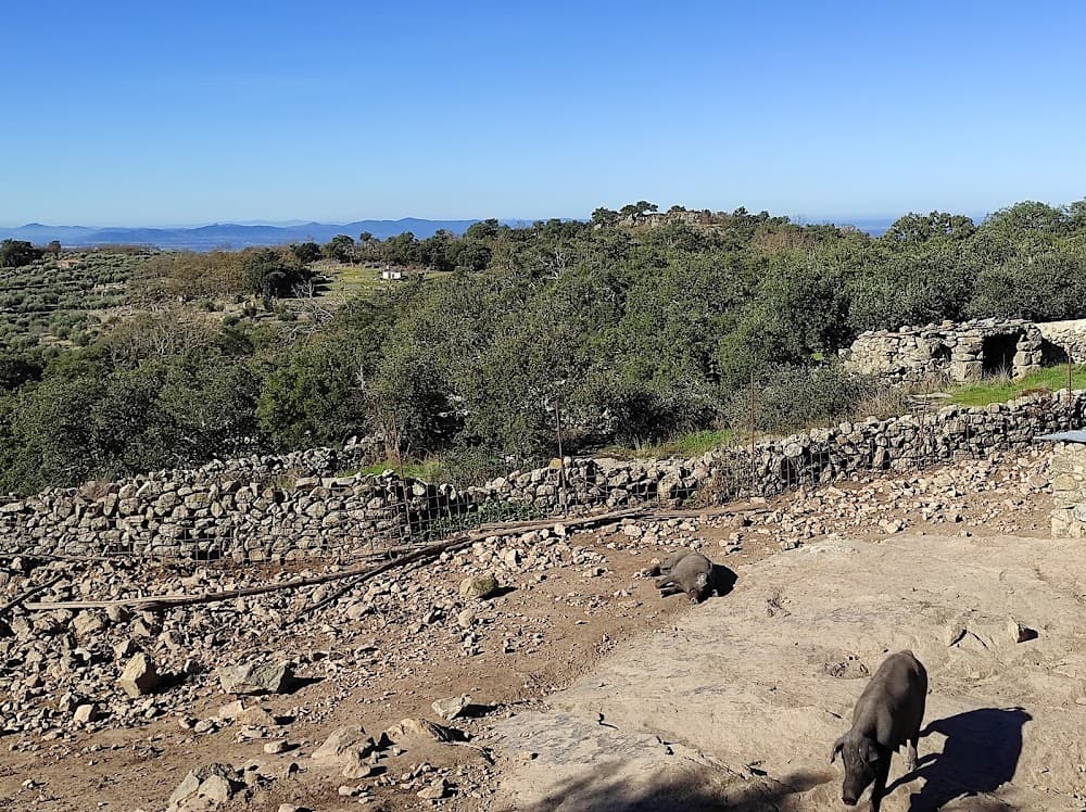Elaboración De Productos Alimenticios en Sierra De Montanchez (Sierra De Montanchez, Montánchez): foto 4