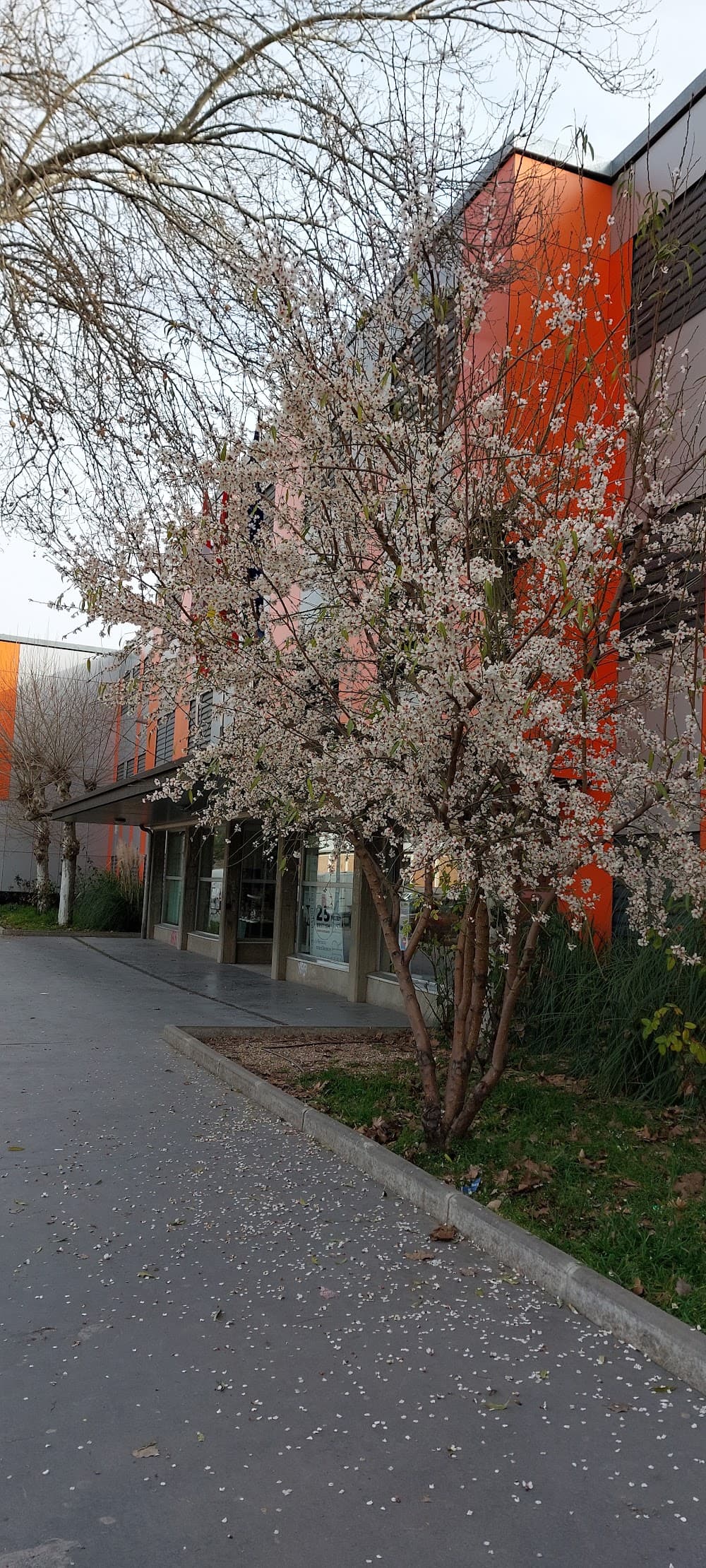 Foto secundaria del campus Emilio Ferrari