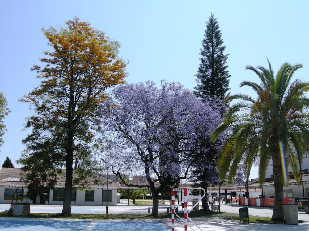 Sistemes Microinformàtics I Xarxes a San Agustín (San Agustín, Sevilla): foto 3
