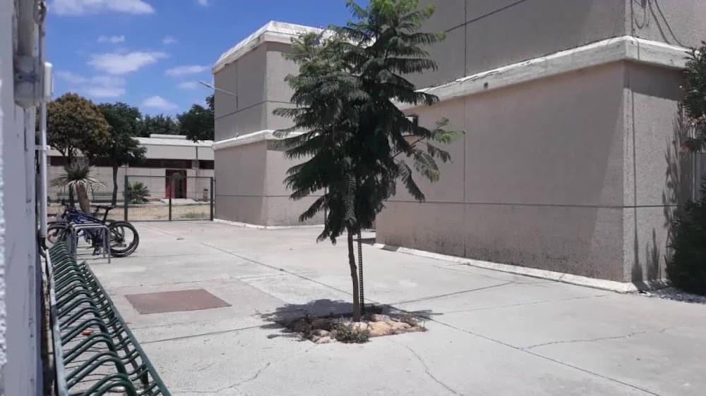 Foto secundaria del campus Federico Mayor Zaragoza