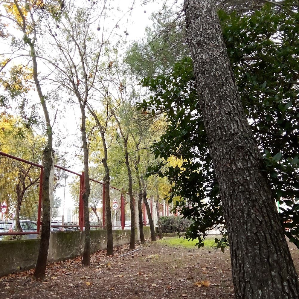 Foto secundaria del campus Al-qazeres