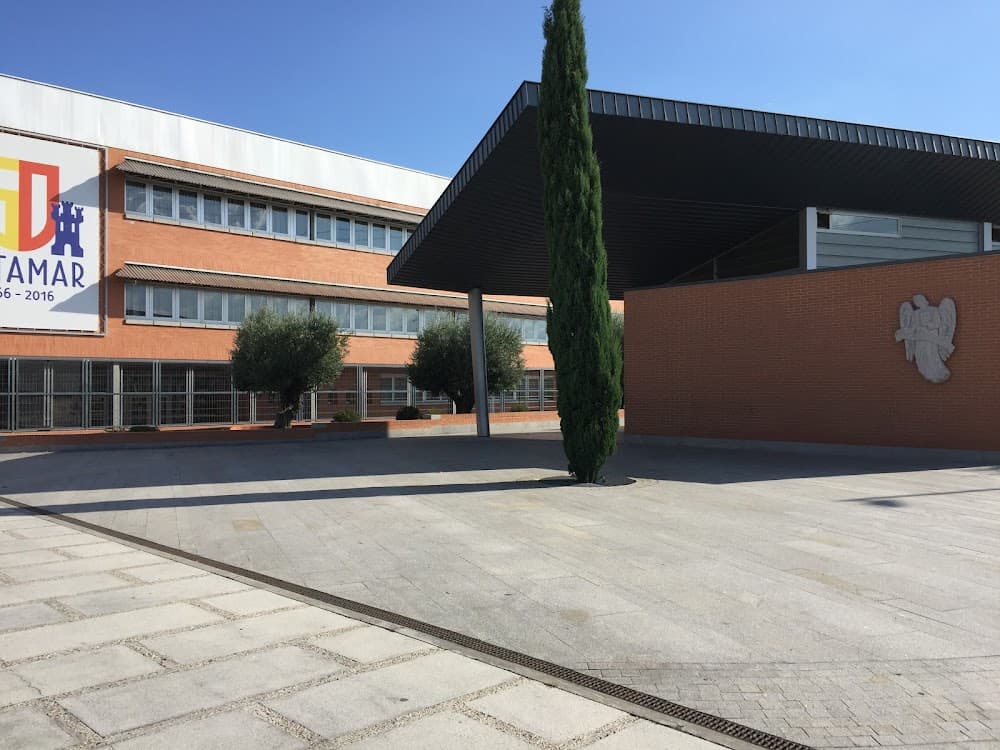 Transport I Logística a Retamar (Retamar, Pozuelo De Alarcón): foto 3