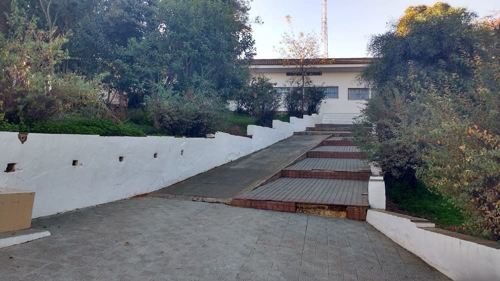 Guia En El Medi Natural I De Temps De Lleure a Montessori (Montessori, Huelva): foto 3