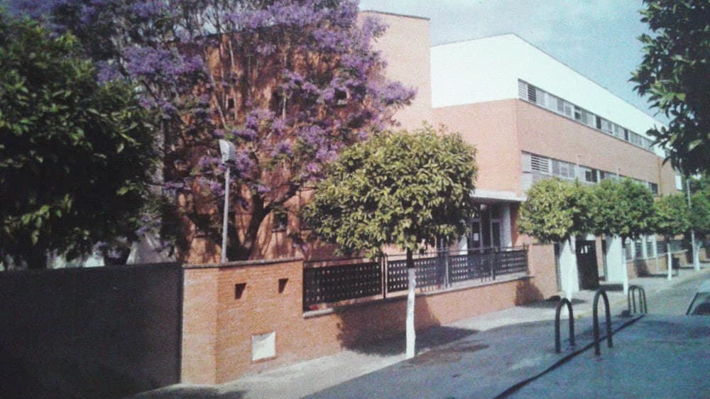 Desenvolupament D'aplicacions Web a Jacarandá (Jacarandá, Brenes): foto 1