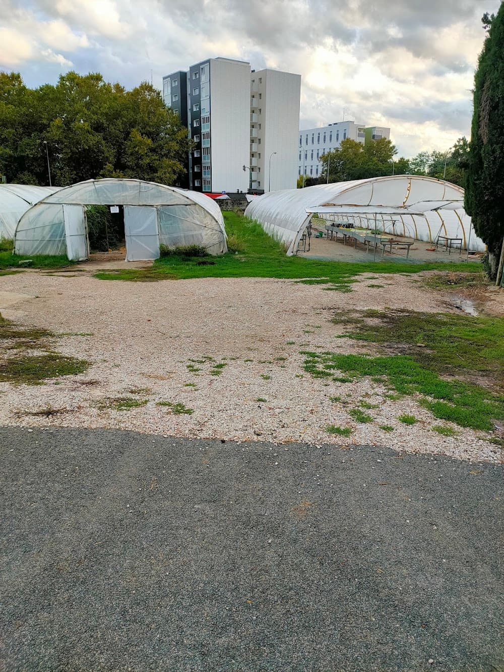 Foto secundaria del campus Agroforestal