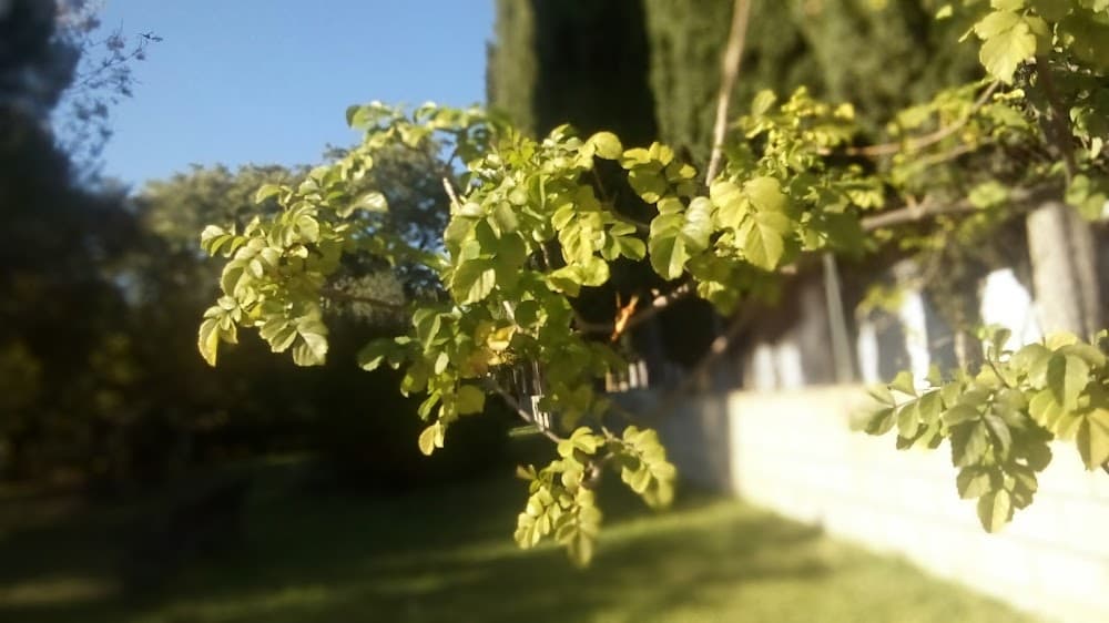 Foto secundaria del campus Ergos Aljarafe
