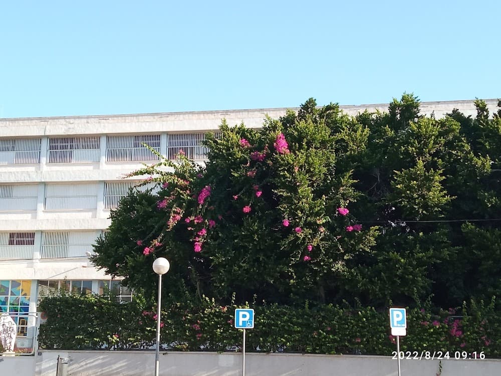 Foto secundaria del campus Antonio José Cavanilles