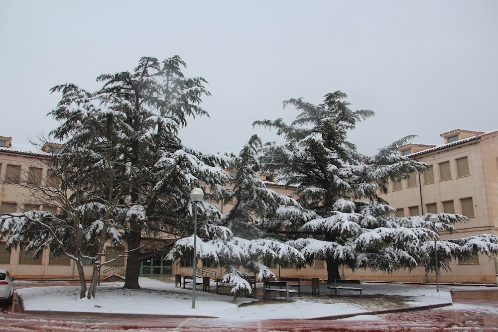 Foto del campus Alhama