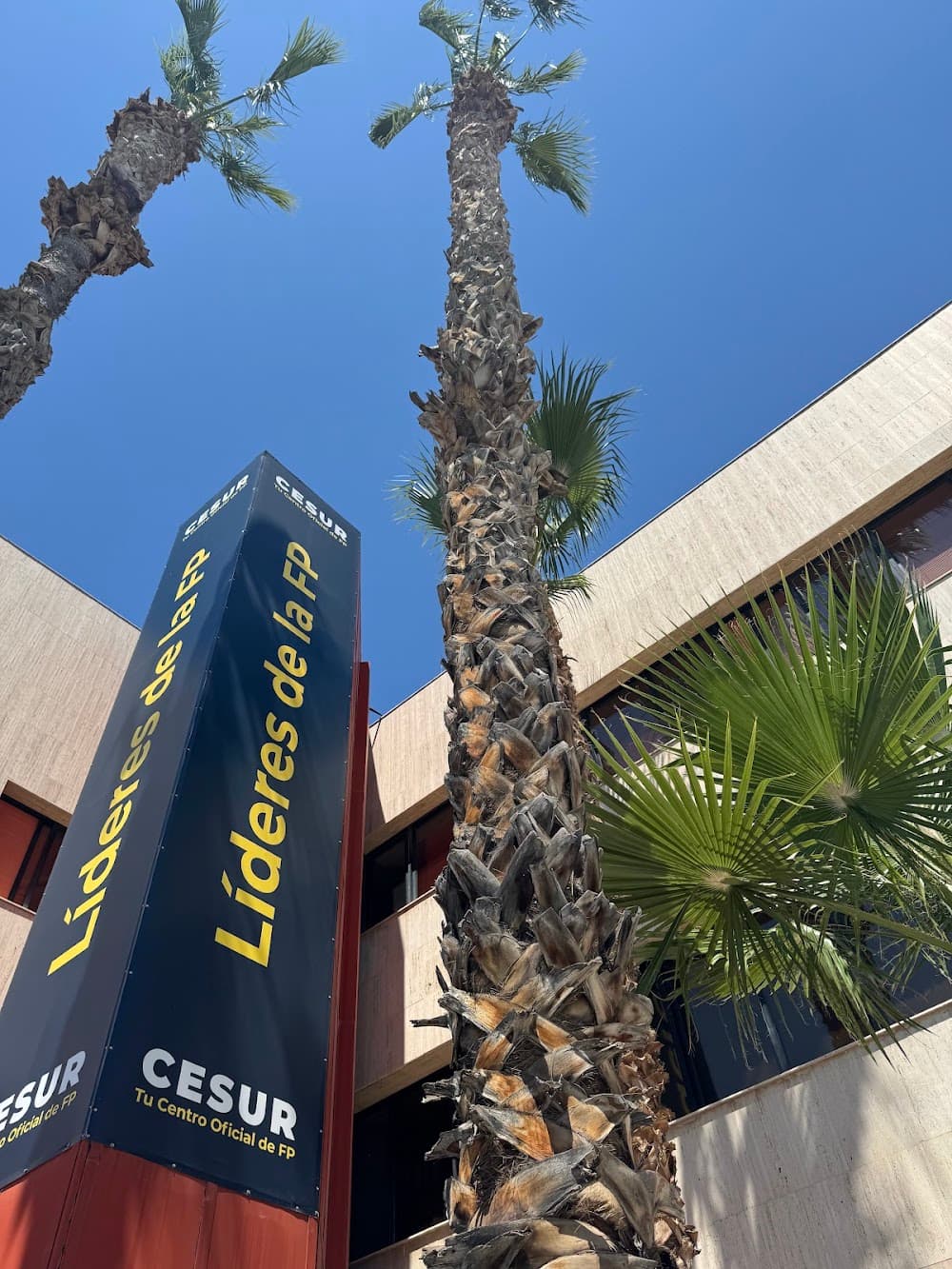 Foto secundaria del campus Cesur Murcia