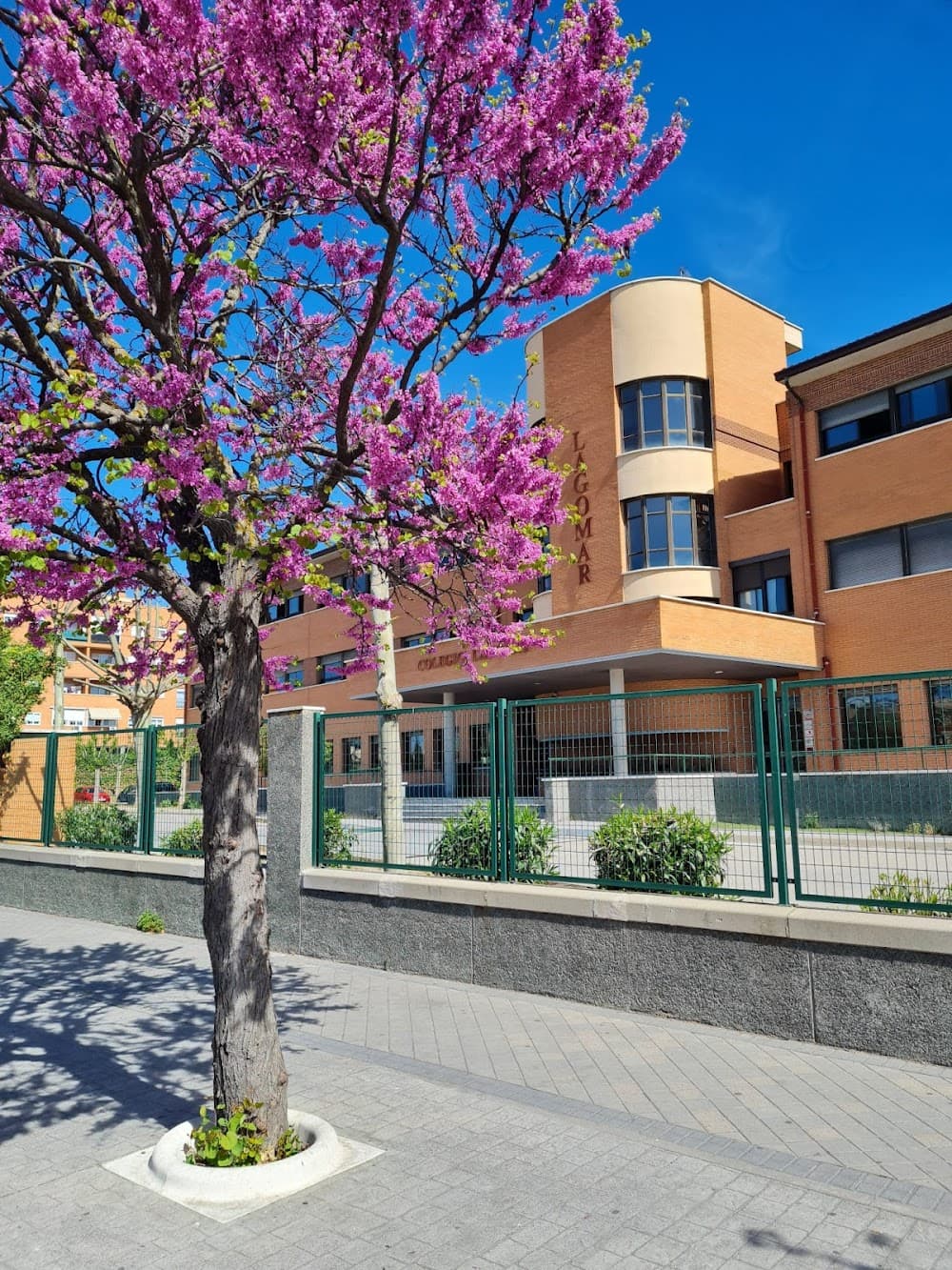 Educació Infantil a Lagomar (Lagomar, Valdemoro): foto 1