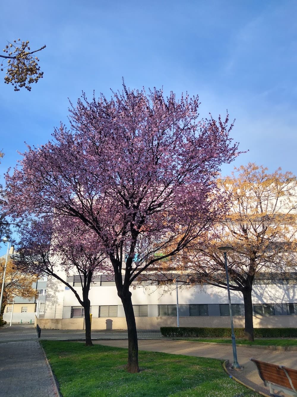 Foto secundaria del campus Amparo Sanz