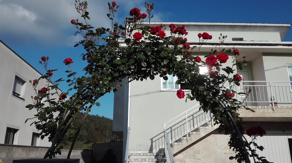 Foto secundaria del campus Illa De Sarón