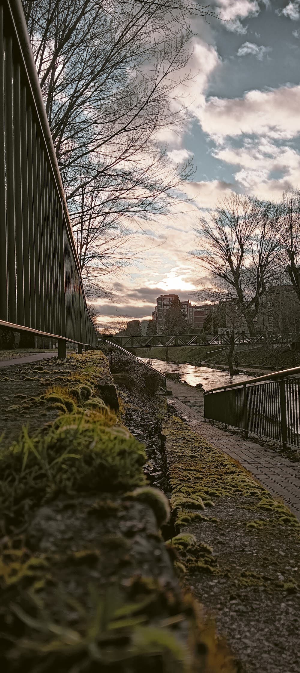 Foto secundaria del campus María Madre-politecnos
