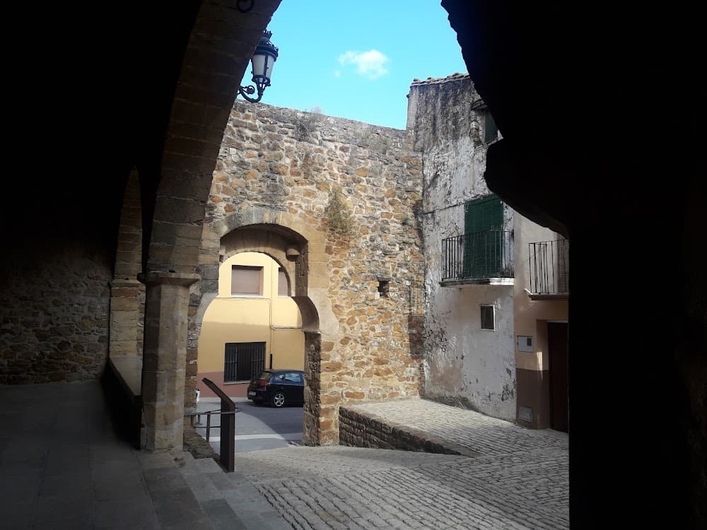 Aprovechamiento Y Conservación Del Medio Natural en Pere-enric Barreda I Edo (Pere-enric Barreda I Edo, Benassal): foto 5
