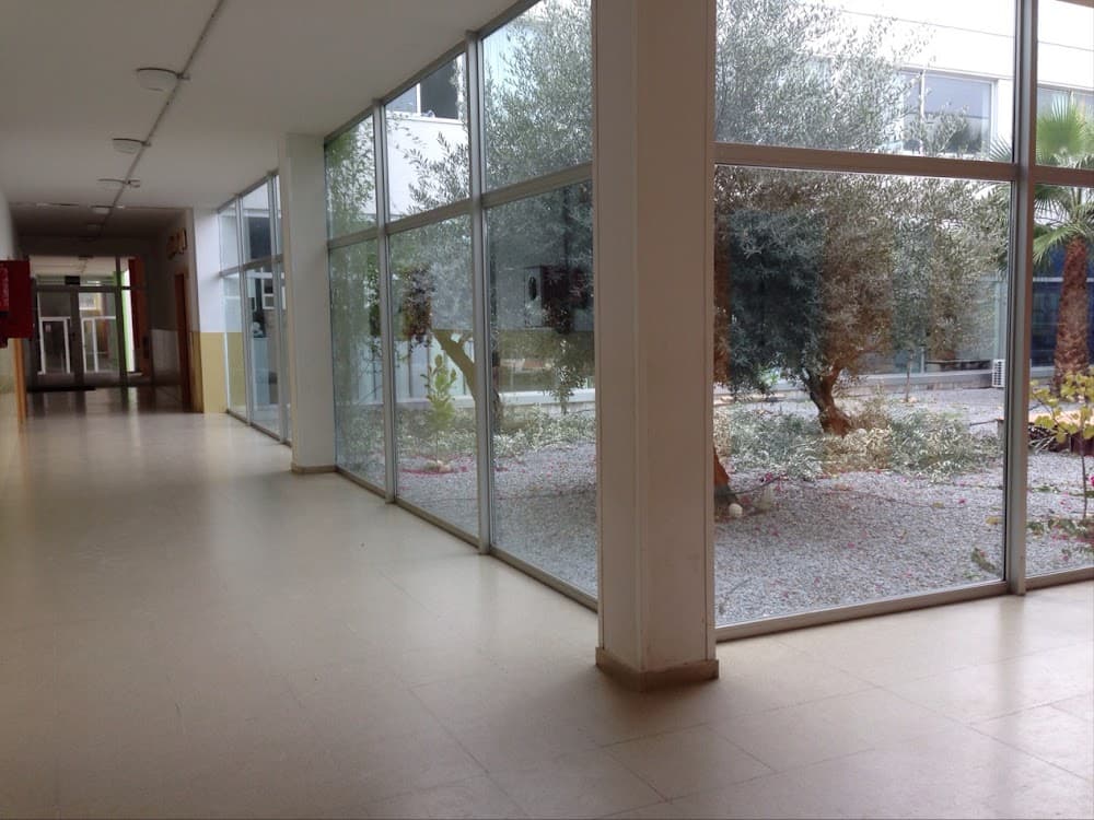 Enseñanza Y Animación Sociodeportiva en Ies Puerta De La Serena (Ies Puerta De La Serena, Villanueva De La Serena): foto 2
