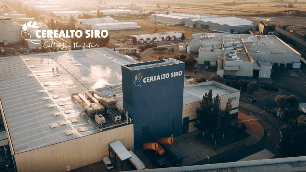 Gestió Administrativa a Recesvinto (Recesvinto, Venta De Baños): foto 1