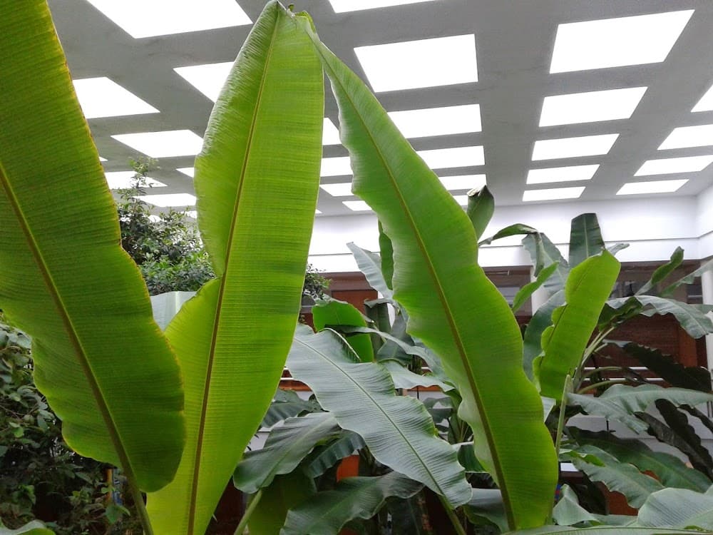 Foto secundaria del campus La Foia