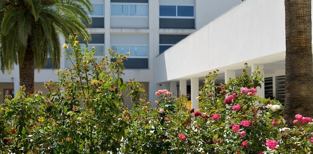Administración Y Finanzas en Juan De Aréjula (Juan De Aréjula, Lucena): foto 3