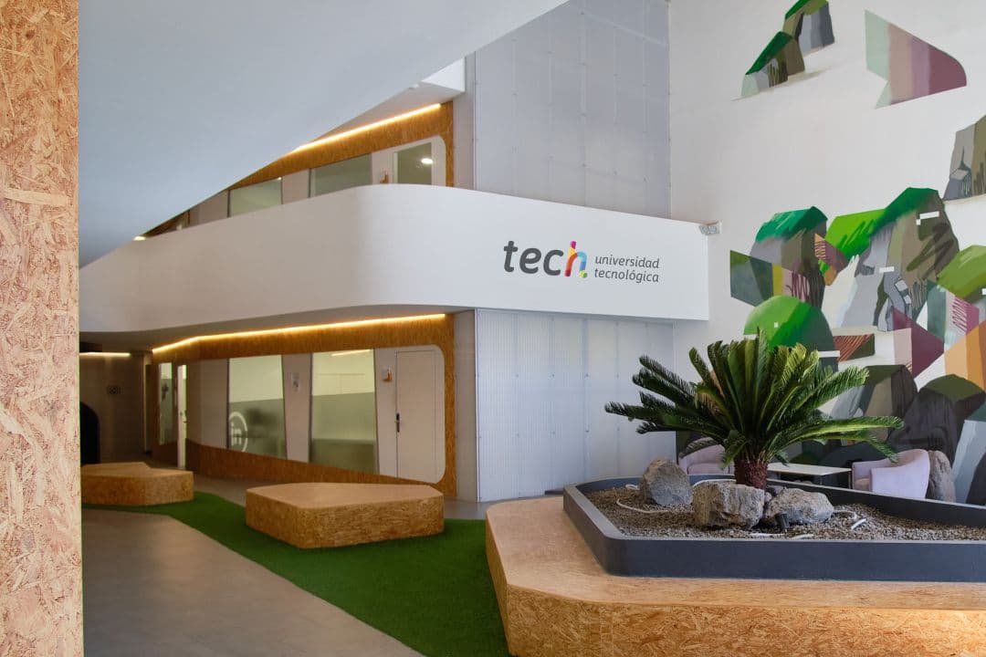 TECH Universidad