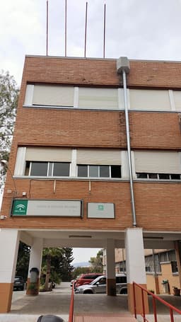 El Palo