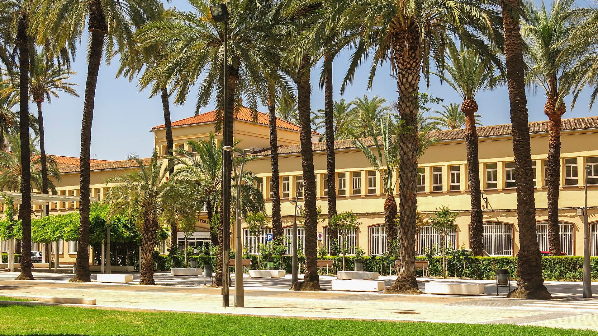 Guía, Información y Asistencias Turísticas en Sant Vicent Ferrer (Sant Vicent Ferrer, Algemesí): foto 1