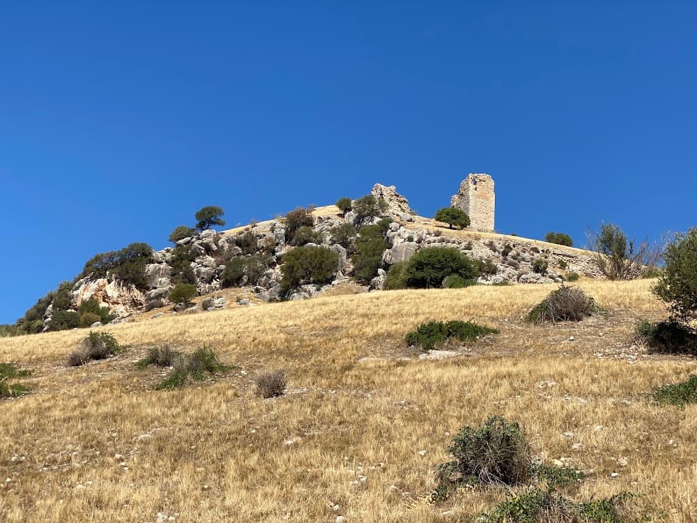 Gestión Administrativa en Castillo De Luna (Castillo De Luna, La Puebla De Cazalla): foto 2