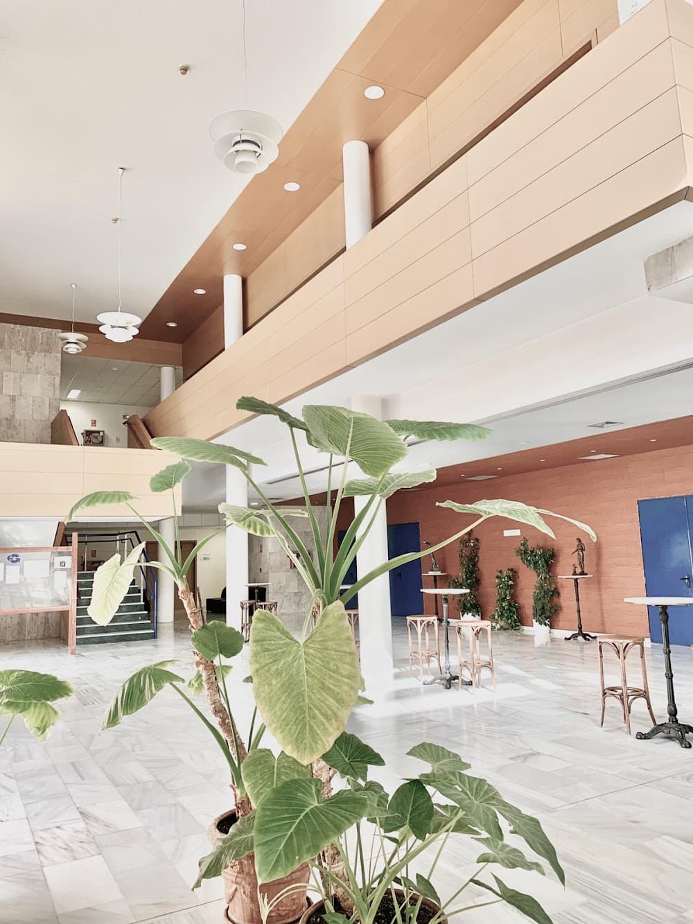 Foto secundaria del campus Ces Juan Pablo Ii