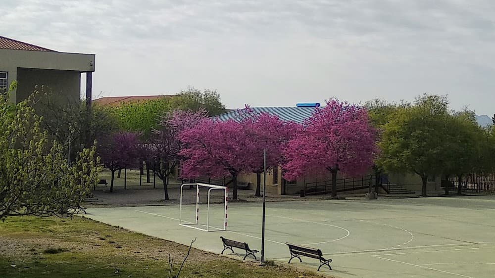 Gestió Administrativa a Izpisúa Belmonte (Izpisúa Belmonte, Hellín): foto 3
