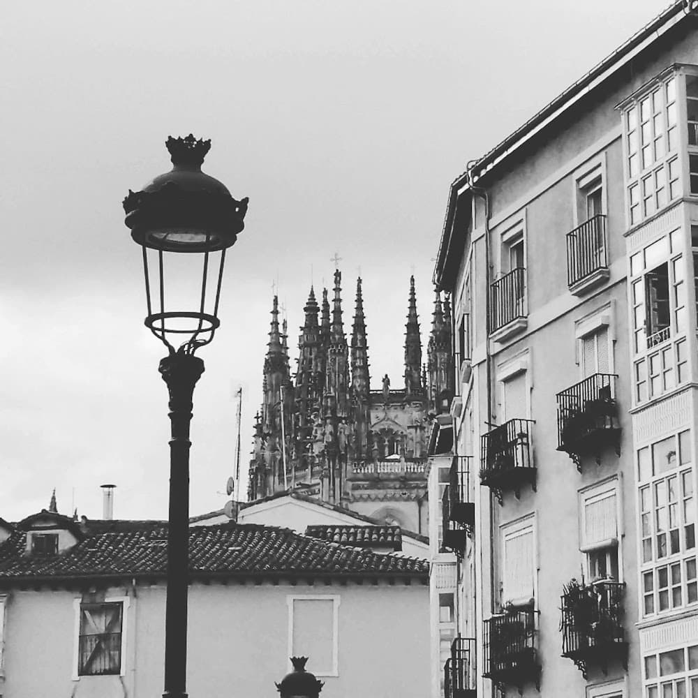 Dirección De Cocina en La Flora (La Flora, Burgos): foto 3