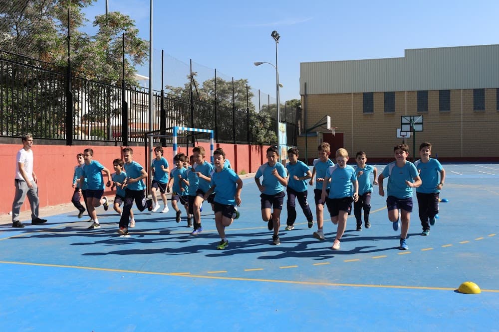 Gestión Administrativa en San Juan Bosco (San Juan Bosco, Granada): foto 2