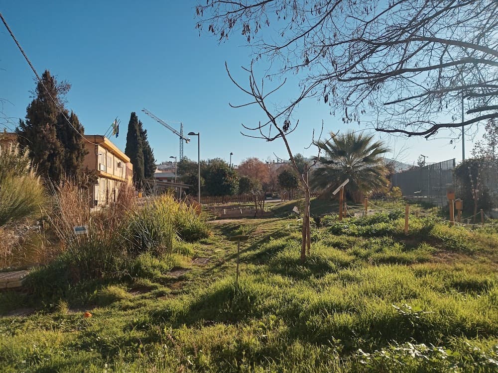 Foto secundaria del campus La Madraza
