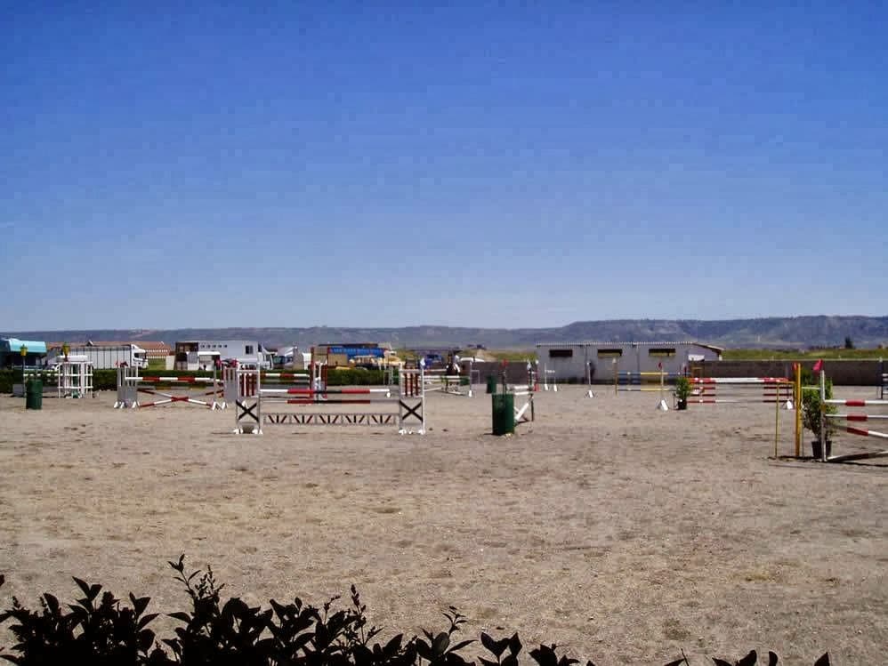 Guia En El Medi Natural I De Temps De Lleure a Centro De Formacion De Enseñanzas Profesionales Las Cadenas (Centro De Formacion De Enseñanzas Profesionales Las Cadenas, Camarma De Esteruelas): foto 4