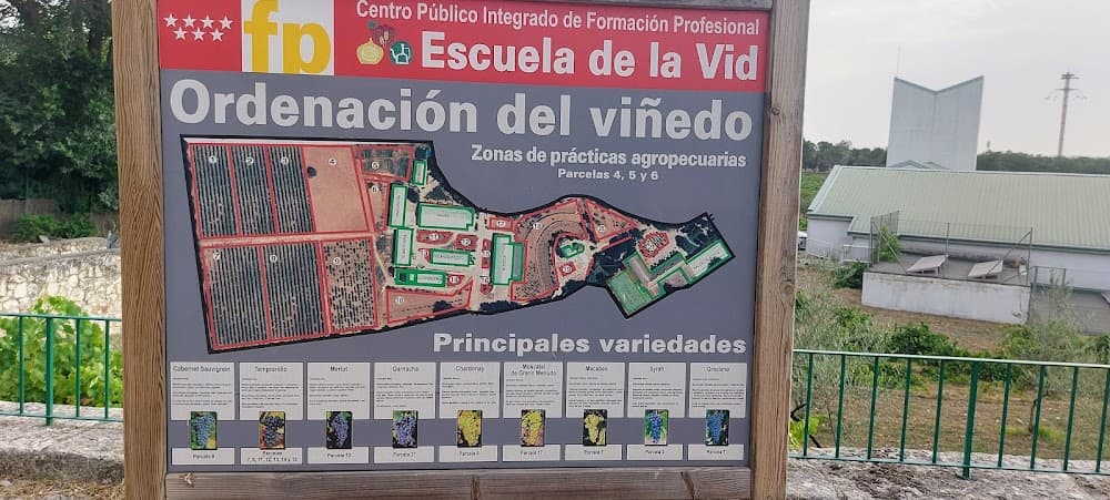 Foto secundaria del campus Escuela De La Vid