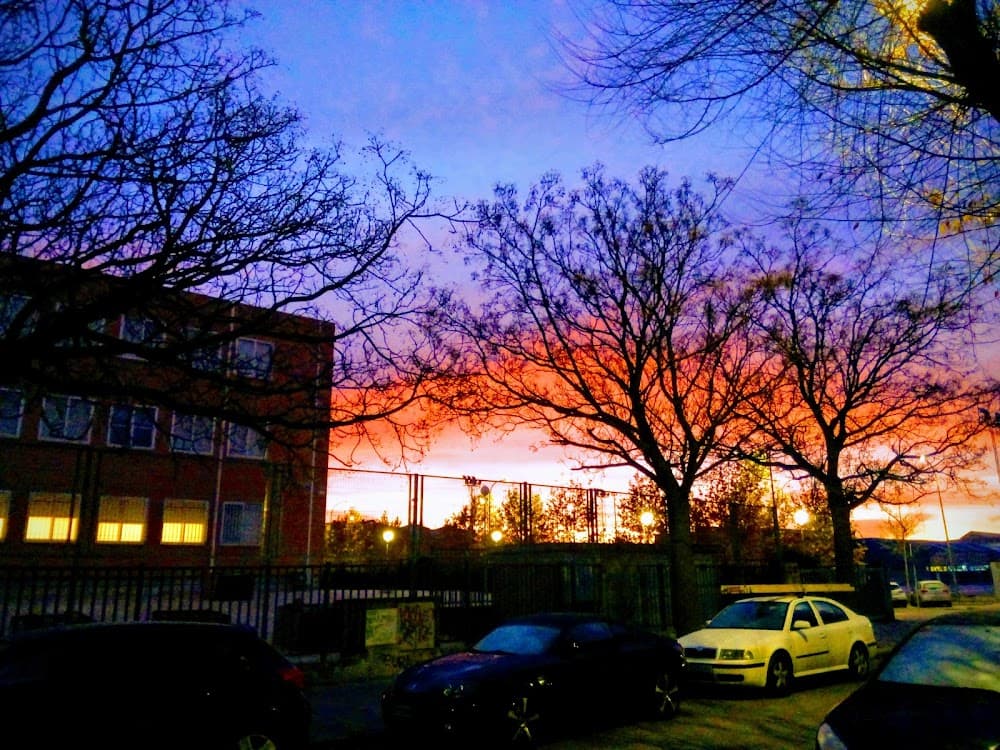 Foto secundaria del campus Los Olivos