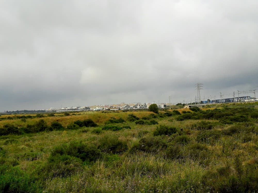 Foto secundaria del campus Isla De León