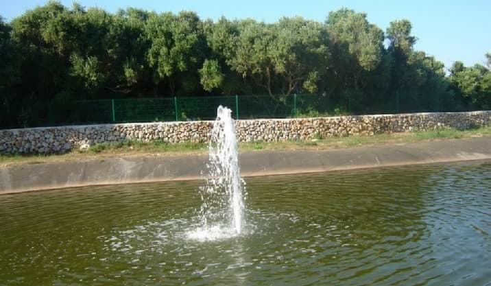 Foto secundaria del campus Centre De La Mar