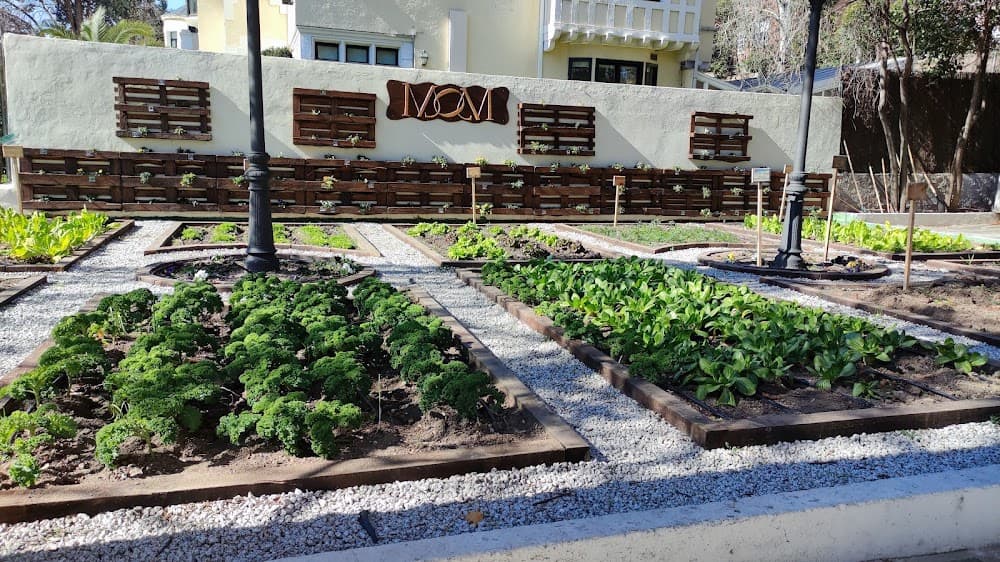 Direcció De Cuina a Mom Culinary Institute (Mom Culinary Institute, Madrid): foto 4