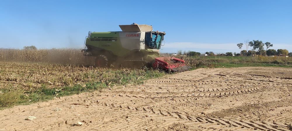 Producción Agroecológica en Cfmr De Don Benito (Cfmr De Don Benito): foto 3