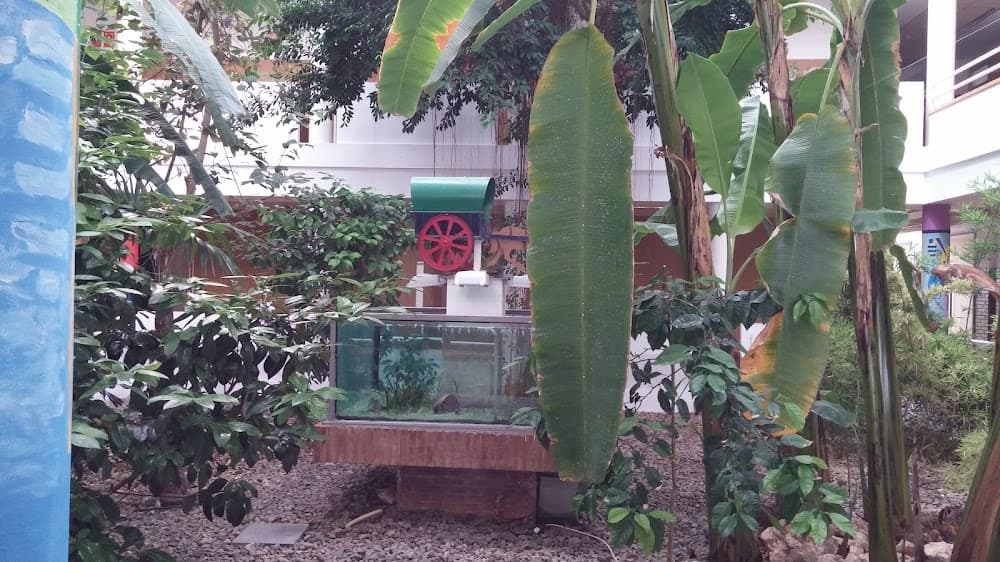 Foto secundaria del campus La Foia