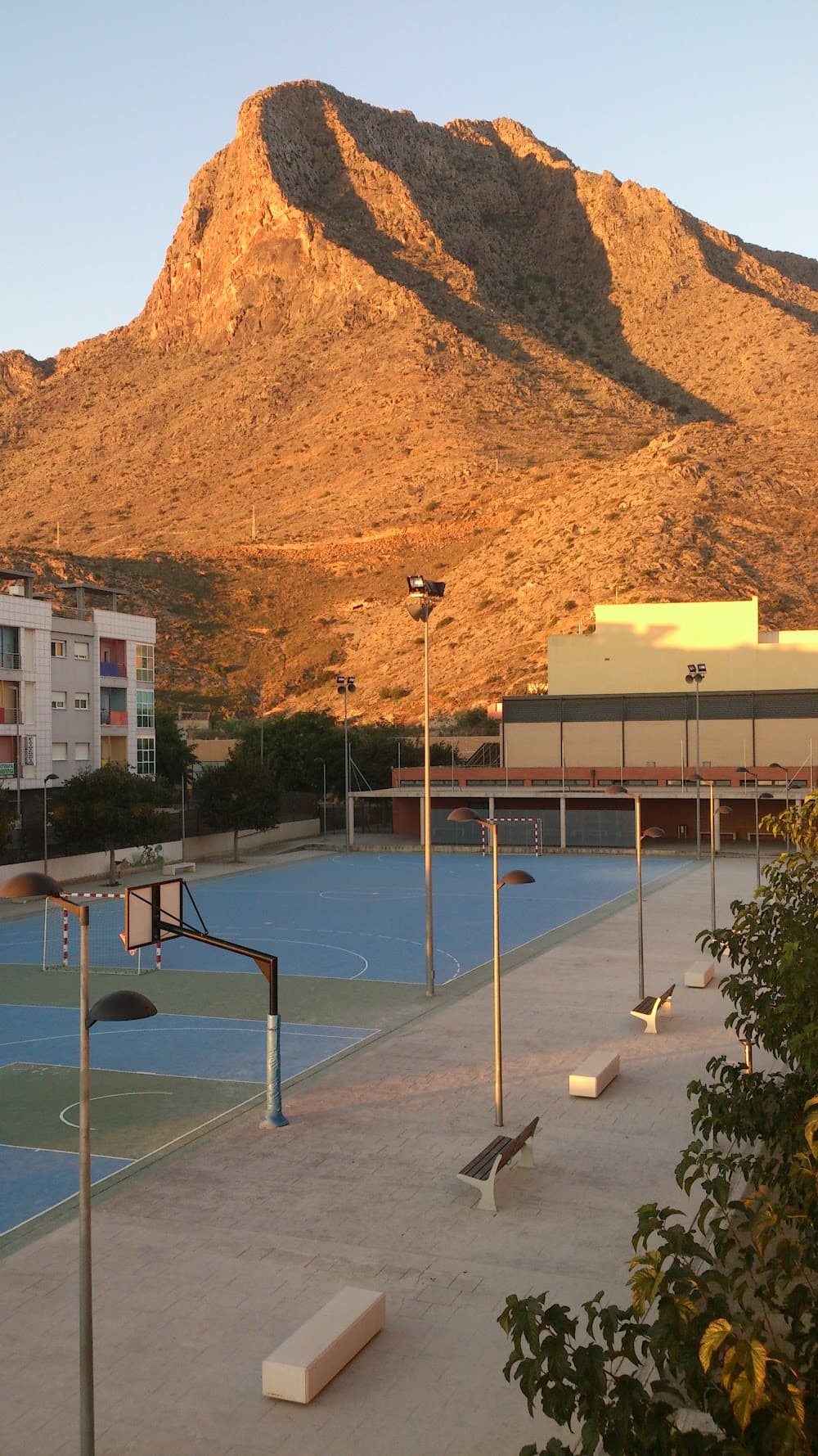 Jardinería Y Floristería en Vega Baja (Vega Baja, Callosa De Segura): foto 4