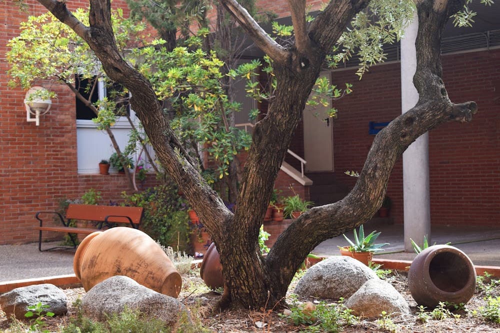 Foto secundaria del campus Cpa-salduie