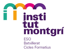 Institut Montgrí