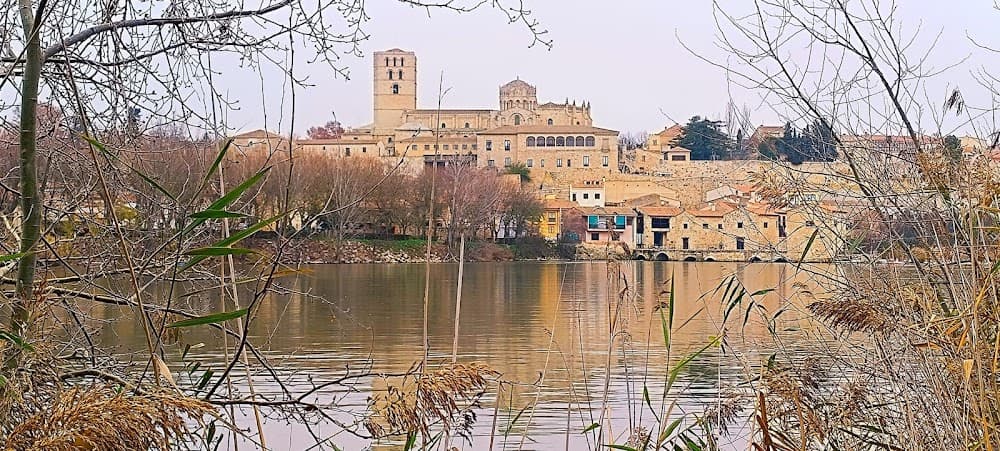 Condicionament Físic a Ciudad De Zamora (Ciudad De Zamora): foto 4