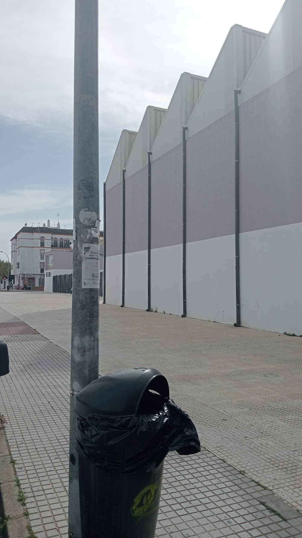 Administració I Finances a Carmen Laffón (Carmen Laffón, San José De La Rinconada): foto 4